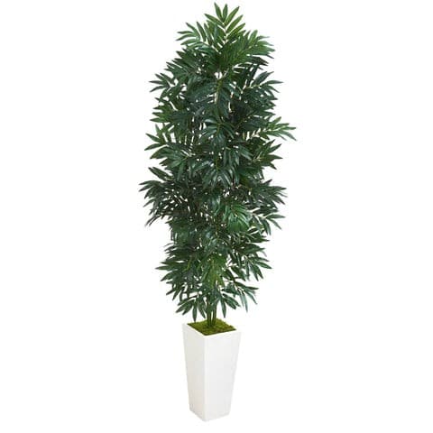 10’ Artificial Paradise Palm Tree | Rental 10’ Artificial Paradise Palm Tree | Rental