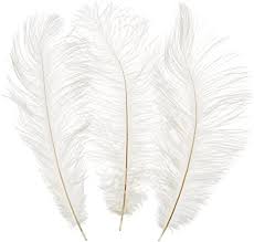 12″ – 14″ White Ostrich Feather | Rental